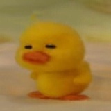 Haru