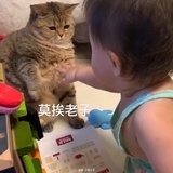 路过某人
