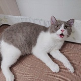 朝天天天天