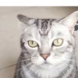 豆友196443702