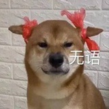 冻干榴莲干