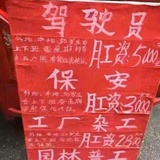 不遣柳条青