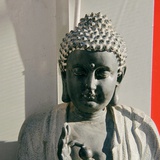 WWW