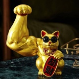 肌肉猫
