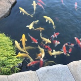 蓉儿