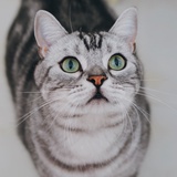 狸宝宝″ 