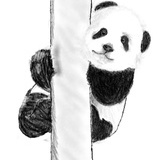 蒋摸摸