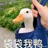 山外瑞葵