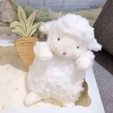 朝阳区莓铃