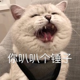 下弦月