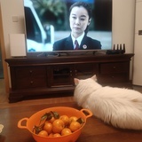 小圆圆