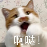 没有小号的大号