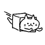 yycs