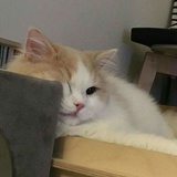 再吃一口不吃了