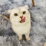 时宜onnn