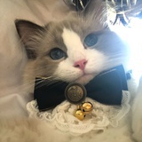 Lydia