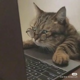 懒回顾
