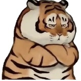 大熊在哪儿
