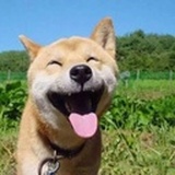 精神E囚犯