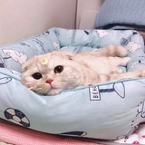 多梦患者