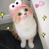 未亡人