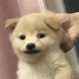 管好你自己就行