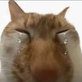 克里斯