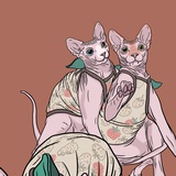 羽绒不服