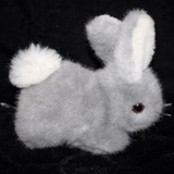 吉祥寺的朝日奈