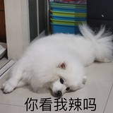西西
