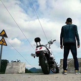 孤单飞翔