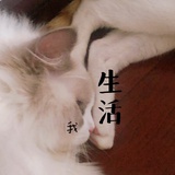 糖炒栗子_