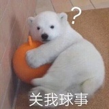 关我球事