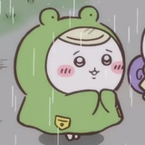 艾瑞尔鹿