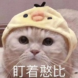 🐰
