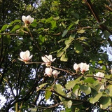 心情