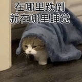 嘟嘟嘟嘟嘟