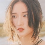 七野乐