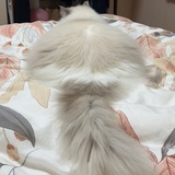 momo（带娃中）