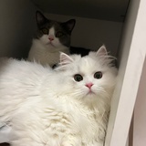 宇 宙 飛 行 器