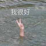 房多不怕塌