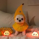 输入昵称