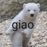 双赢小助手