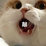 诅咒课满分选手