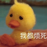 随便叫什么