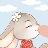 橘色匹诺曹