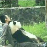 黎梨厘