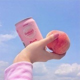 甘荀海底椰
