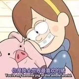 Pig
