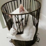 七月上